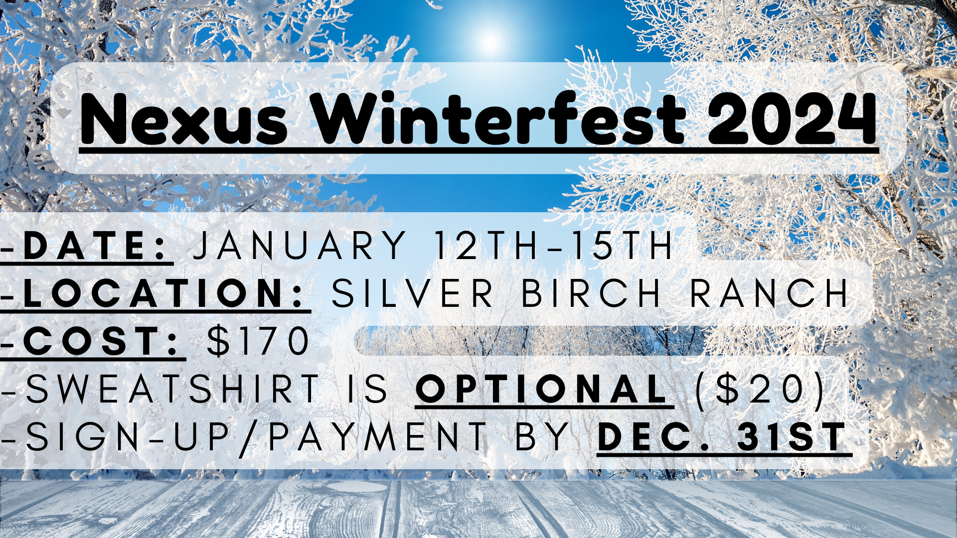 Nexus Winterfest 3